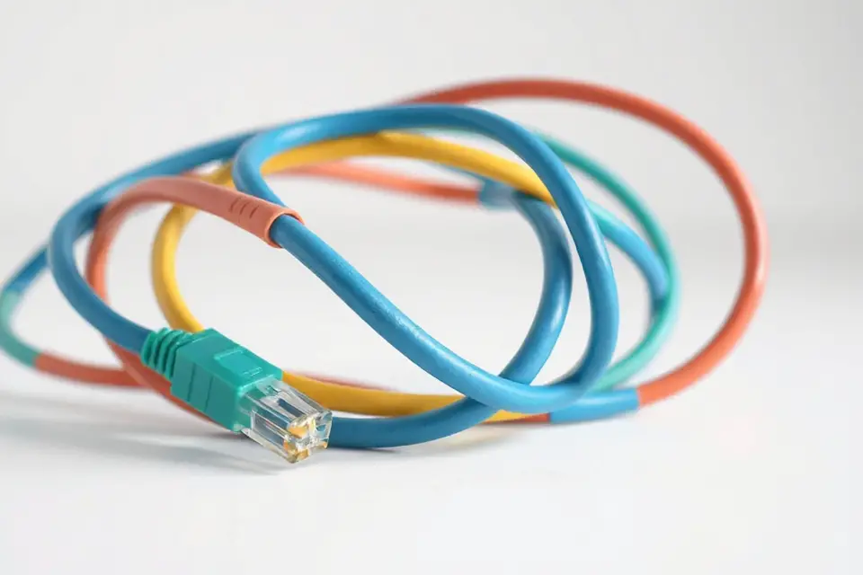 curled network cables photo